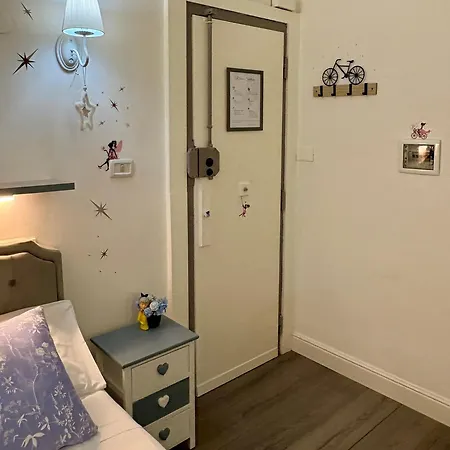 Stellata Daire *